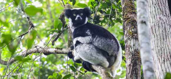 Family Fun in Madagascar and Mauritius