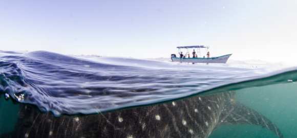 Epic Baja California