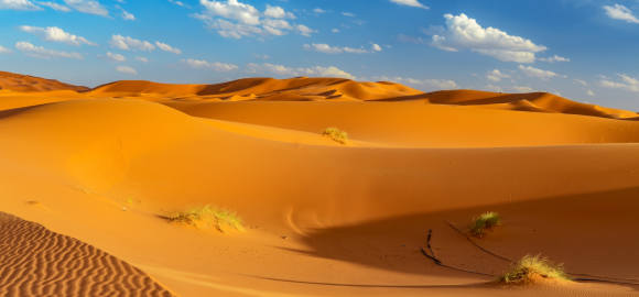 Sahara Serenity: A Luxury Adventure in Morocco