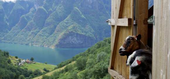 Family Fun in Norway