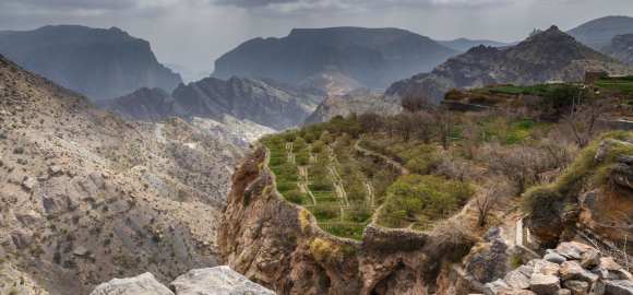 Active Oman