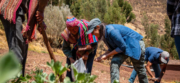 The Flavour Trail: Peru