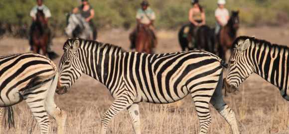 Family Fun in South Africa