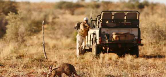Ultimate South Africa