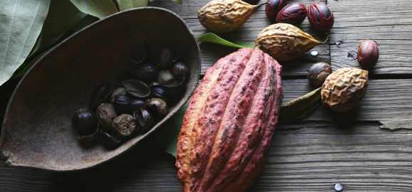 Caribbean Culinary Odyssey: St. Lucia & Grenada