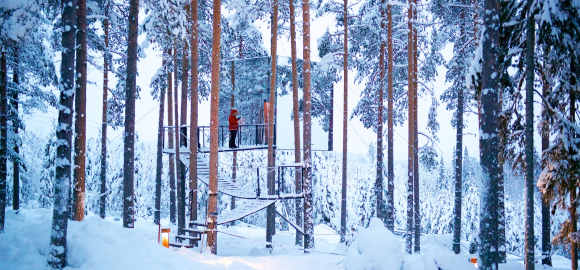 Epic Swedish Lapland