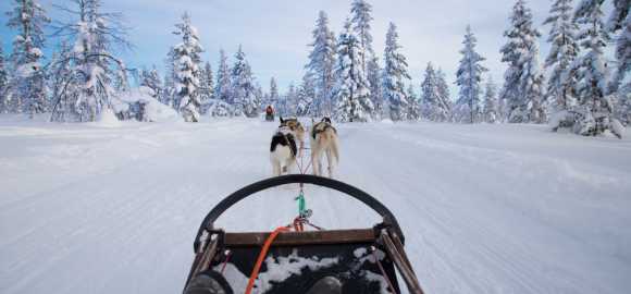 Family Fun in Sweden