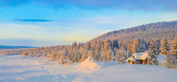 Ultimate Swedish Lapland