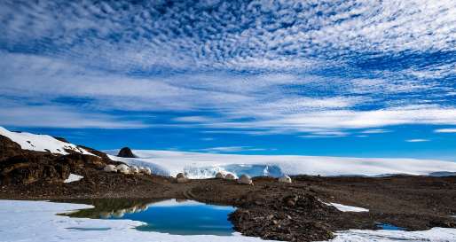 Wichaway Camp - White Desert Antarctica