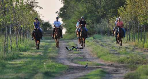 Estancia La Sofia Riding   
