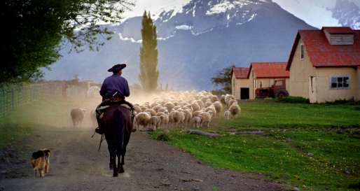 Gaucho at work - Estancia Nibepo Aike