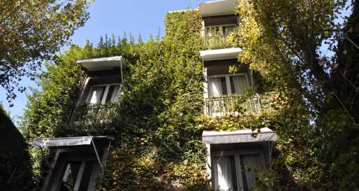 Leafy exterior 