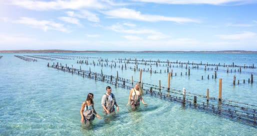 Coffin Bay 