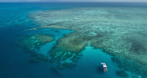 Great Barrier Reef Shot 