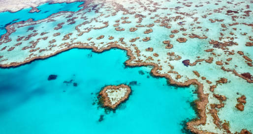 Heart Reef - The Whitsundays