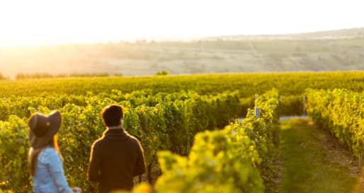Couple in vineyard
