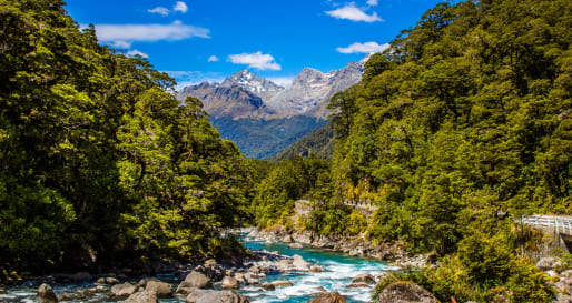 New Zealand