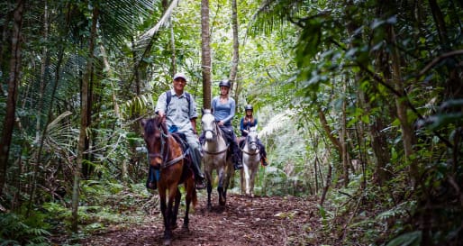 Horseback Riding