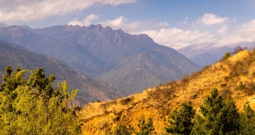 Paro Valley - Farmhouse Visit and home-cooked Dinner