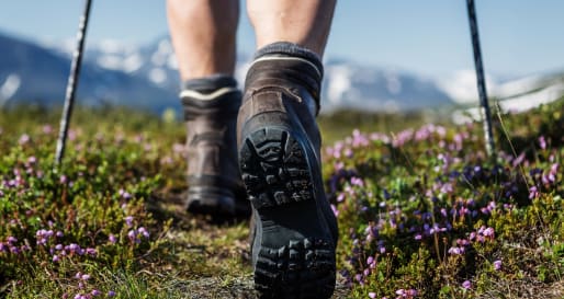 Hiking in Bhutan - The Gangtey 360°Hike