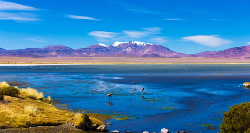Lagoons - South to North