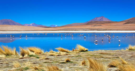 Altiplanic lagoons - High Adventure in the Bolivian Desert