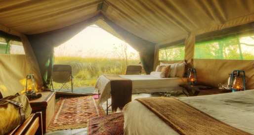 Footsteps Across the Delta 