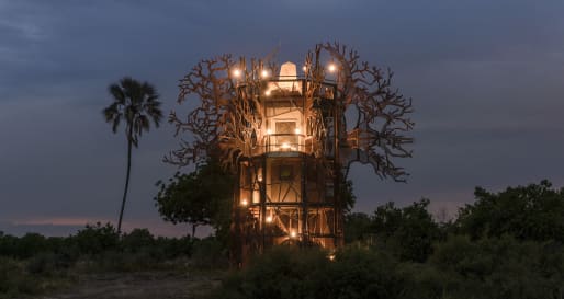Baobab  