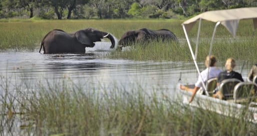 Boat safari in the Okavango Delta