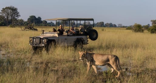 Game Drives in Botswana