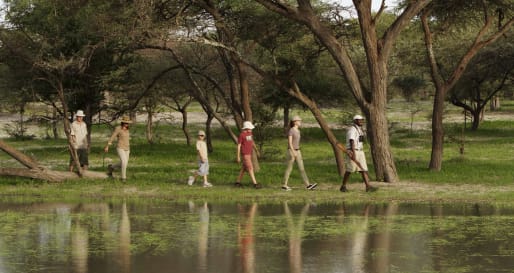 Walking Safaris and Nature Walks