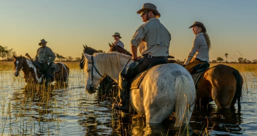 Sunset ride - Wild Botswana Riding Safari