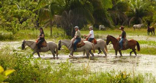 Araras Eco Lodge - Horse Ride