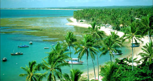 Beach View - Praia do Forte Eco Resort & Thalasso Spa