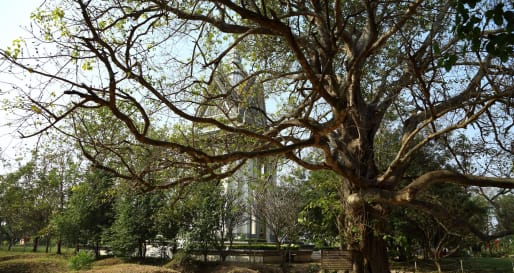The Killing Fields at Choeng Ek (Half Day)
