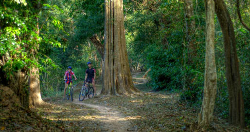 Cycling to Ta Prohm and Angkor Thom
