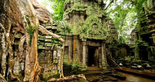 Temples - Temples of the Forest 
