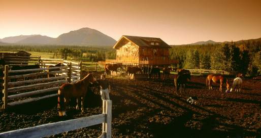 Echo Valley Ranch & Spa