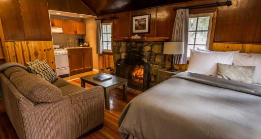 Cosy Lodge Interior, Tekarra Lodge