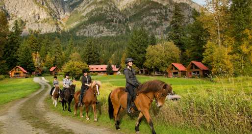 Horse Riding  