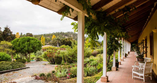 Gardens - La Casona at Matetic Vineyards