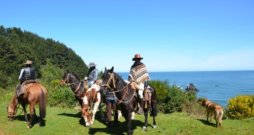 Horse riding  - Horseback riding at Vira Vira