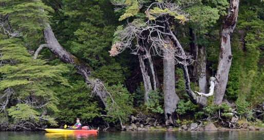 Kayaking - Kayaking Pucón and Villarrica