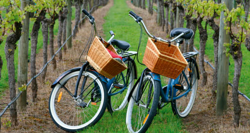 Wine & bike in the San Antonio Valley