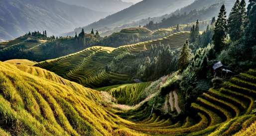 Longsheng 