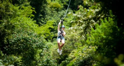Zipwiring