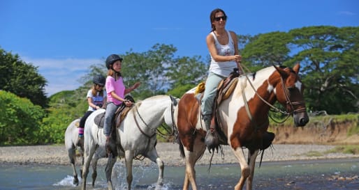 Riding - Don Tobias Horseback riding