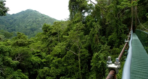 Monteverde  