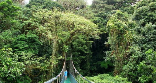Hanging Bridges Tour