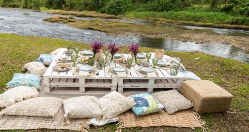 Tico Picnic 